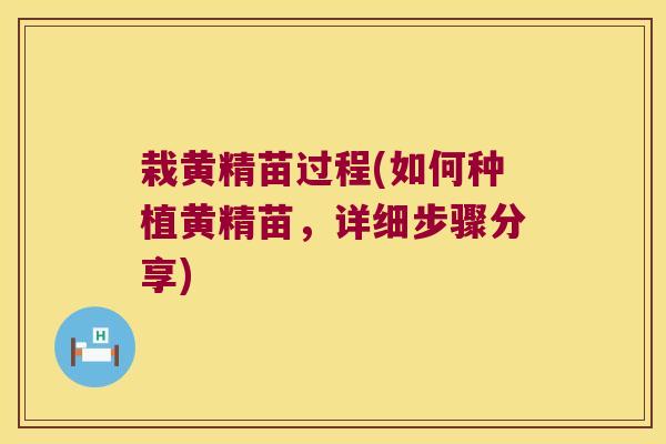 栽黄精苗过程(如何种植黄精苗,详细步骤分享) 栽黄精苗过程(如何种植黄精苗,详细步骤分享)