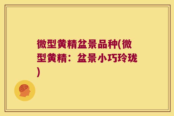 微型黄精盆景品种(微型黄精：盆景小巧玲珑)