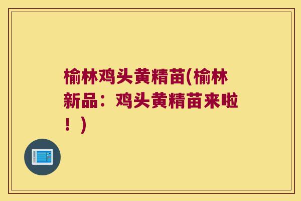 榆林鸡头黄精苗(榆林新品:鸡头黄精苗来啦!) 榆林鸡头黄精苗(榆林新品:鸡头黄精苗来啦!)