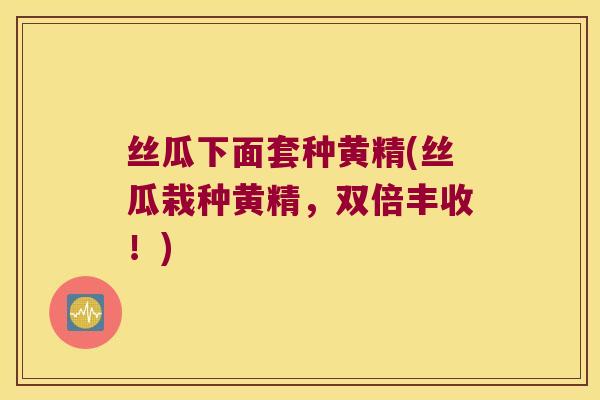 丝瓜下面套种黄精(丝瓜栽种黄精，双倍丰收！)