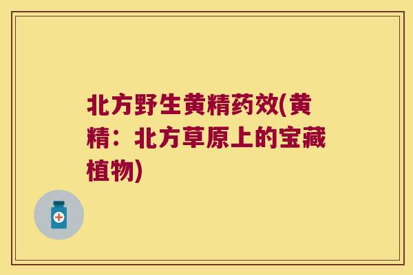 北方野生黄精(黄精:北方草原上的宝藏植物) 北方野生黄精(黄精:北方草原上的宝藏植物)