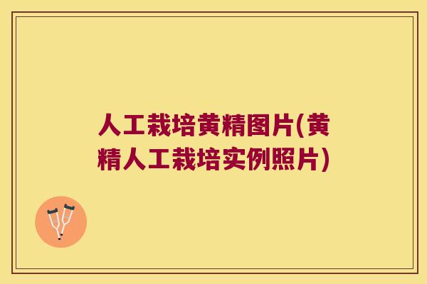 人工栽培黄精图片(黄精人工栽培实例照片) 人工栽培黄精图片(黄精人工栽培实例照片)