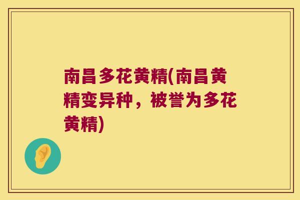 南昌多花黄精(南昌黄精变异种，被誉为多花黄精)