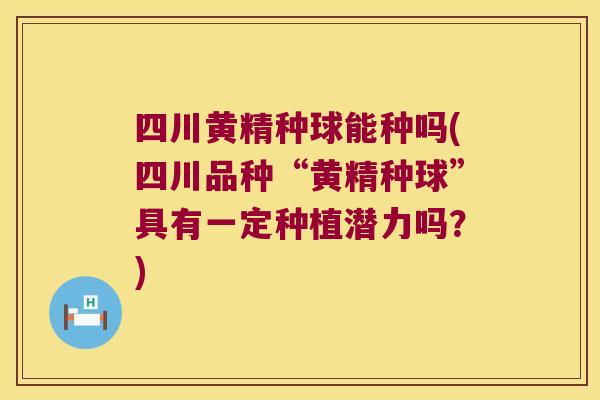 四川黄精种球能种吗(四川品种“黄精种球”具有一定种植潜力吗？)