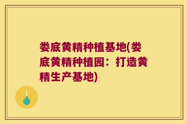 娄底黄精种植基地(娄底黄精种植园：打造黄精生产基地)