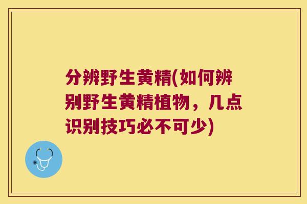 分辨野生黄精(如何辨别野生黄精植物,几点识别技巧必不可少) 分辨野生黄精(如何辨别野生黄精植物,几点识别技巧必不可少)