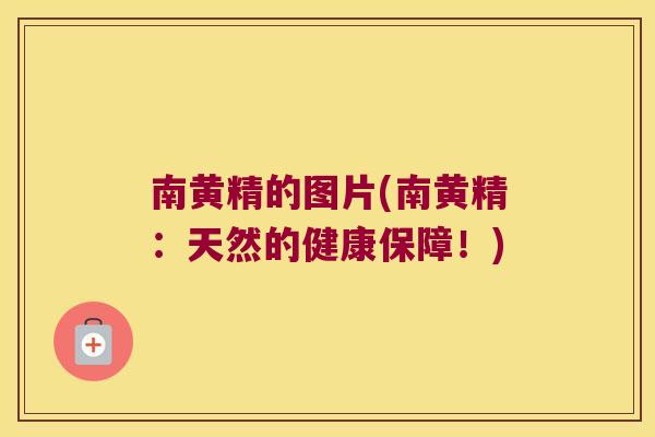 南黄精的图片(南黄精：天然的健康保障！)