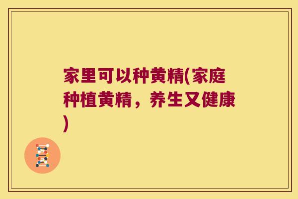 家里可以种黄精(家庭种植黄精,养生又健康) 家里可以种黄精(家庭种植黄精,养生又健康)