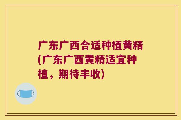 广东广西合适种植黄精(广东广西黄精适宜种植,期待丰收) 广东广西合适种植黄精(广东广西黄精适宜种植,期待丰收)