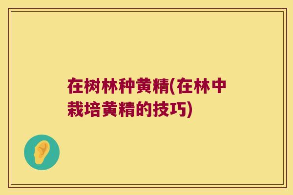 在树林种黄精(在林中栽培黄精的技巧) 在树林种黄精(在林中栽培黄精的技巧)