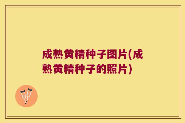 成熟黄精种子图片(成熟黄精种子的照片) 成熟黄精种子图片(成熟黄精种子的照片)