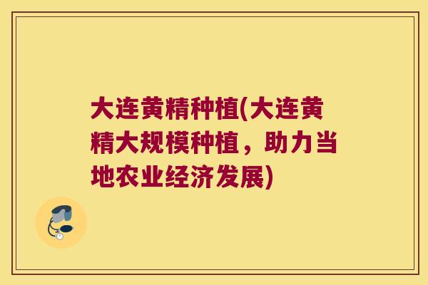 大连黄精种植(大连黄精大规模种植，助力当地农业经济发展)