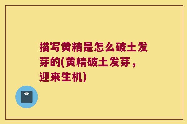描写黄精是怎么破土发芽的(黄精破土发芽，迎来生机)