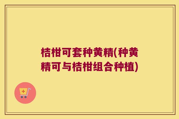 桔柑可套种黄精(种黄精可与桔柑组合种植)