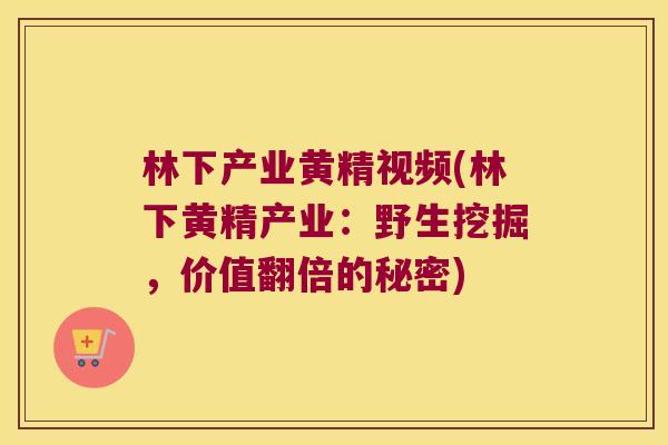 林下产业黄精视频(林下黄精产业：野生挖掘，价值翻倍的秘密)