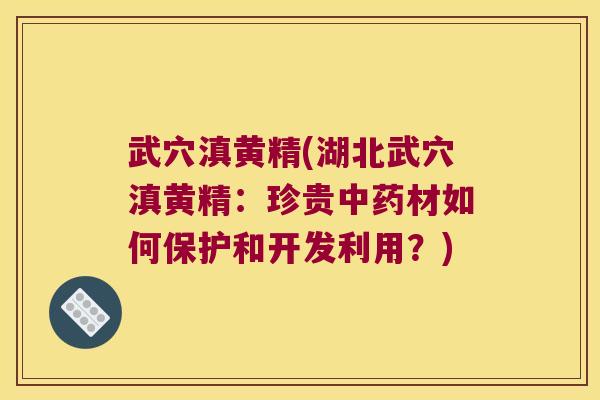 武穴滇黄精(湖北武穴滇黄精：珍贵材如何保护和开发利用？)