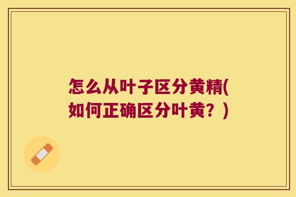 怎么从叶子区分黄精(如何正确区分叶黄？)