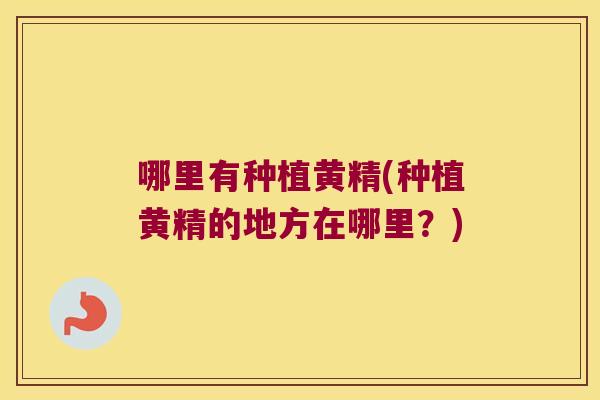 哪里有种植黄精(种植黄精的地方在哪里?) 哪里有种植黄精(种植黄精的地方在哪里?)