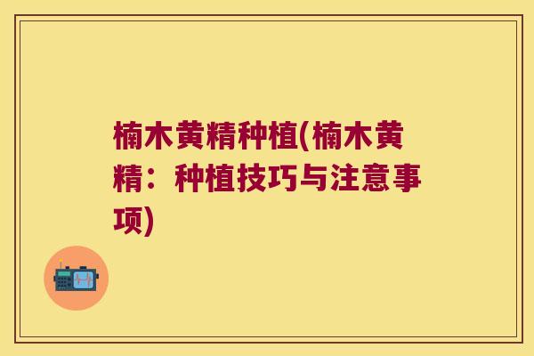楠木黄精种植(楠木黄精：种植技巧与注意事项)