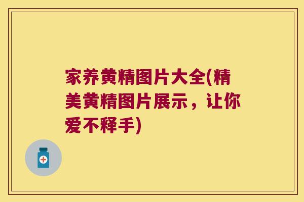 家养黄精图片大全(精美黄精图片展示，让你爱不释手)
