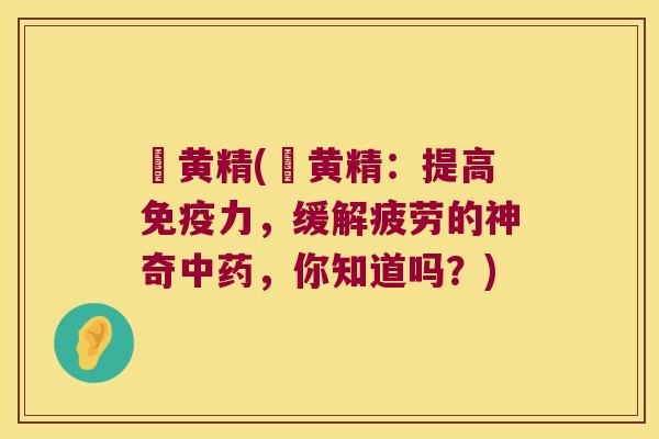 厷黄精(厷黄精：提高力，缓解疲劳的神奇，你知道吗？)