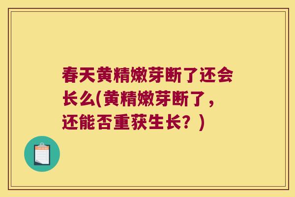 春天黄精嫩芽断了还会长么(黄精嫩芽断了，还能否重获生长？)