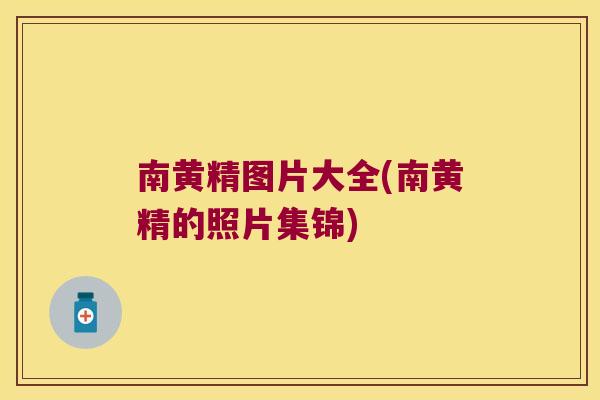 南黄精图片大全(南黄精的照片集锦)