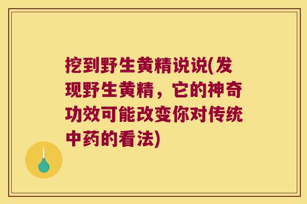 挖到野生黄精说说(发现野生黄精,它的神奇功效可能改变你对传统的看法) 挖到野生黄精说说(发现野生黄精,它的神奇功效可能改变你对传统的看法)