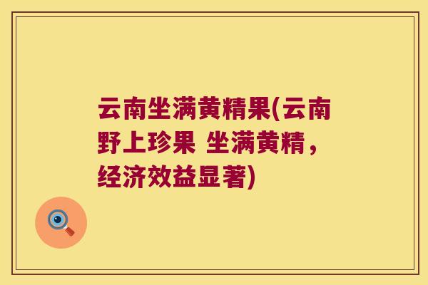 云南坐满黄精果(云南野上珍果 坐满黄精,经济效益显著) 云南坐满黄精果(云南野上珍果 坐满黄精,经济效益显著)