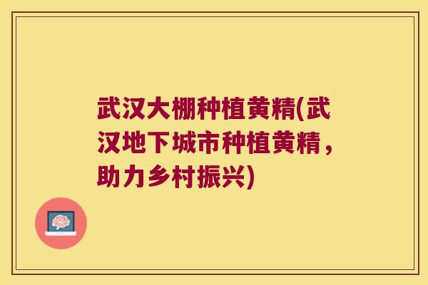 武汉大棚种植黄精(武汉地下城市种植黄精，助力乡村振兴)