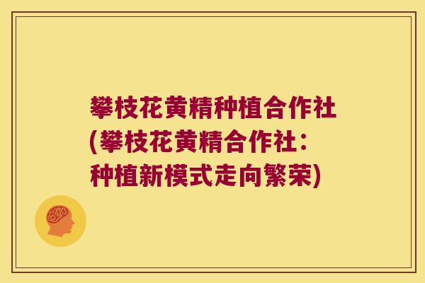 攀枝花黄精种植合作社(攀枝花黄精合作社:种植新模式走向繁荣) 攀枝花黄精种植合作社(攀枝花黄精合作社:种植新模式走向繁荣)