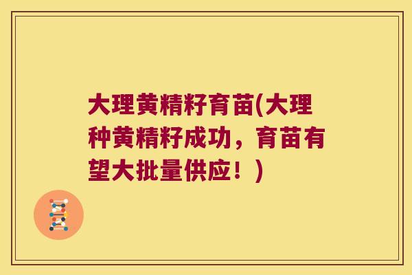 大理黄精籽育苗(大理种黄精籽成功，育苗有望大批量供应！)