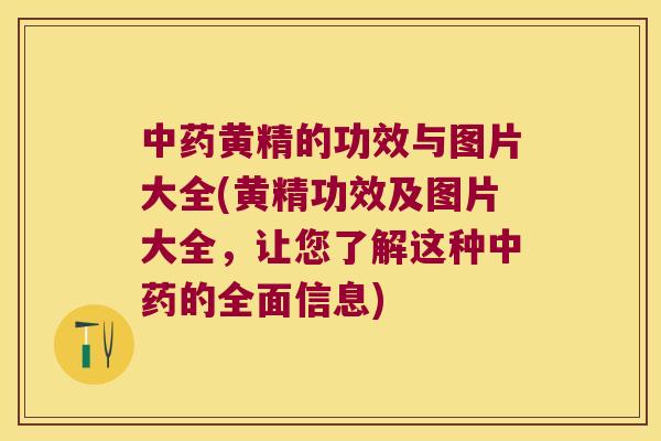 黄精的功效与图片大全(黄精功效及图片大全，让您了解这种的全面信息)