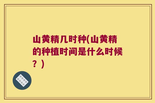 山黄精几时种(山黄精的种植时间是什么时候？)