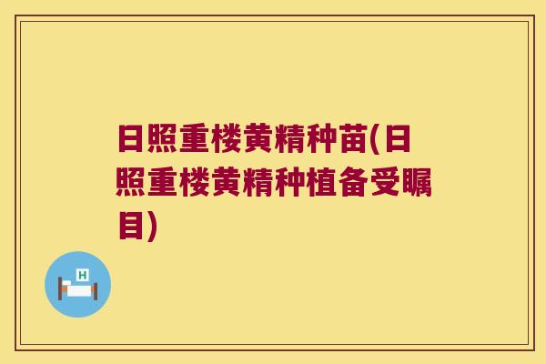 日照重楼黄精种苗(日照重楼黄精种植备受瞩目) 日照重楼黄精种苗(日照重楼黄精种植备受瞩目)