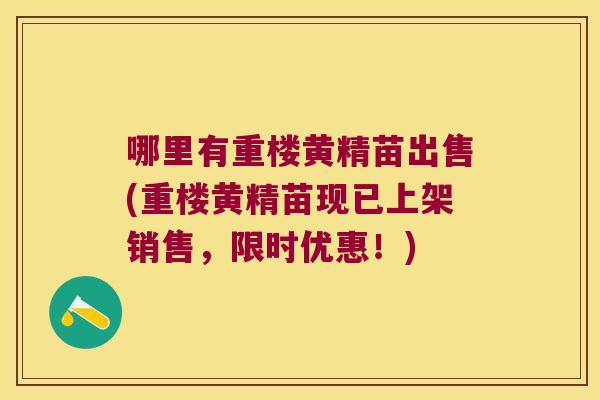 哪里有重楼黄精苗出售(重楼黄精苗现已上架销售,限时优惠!) 哪里有重楼黄精苗出售(重楼黄精苗现已上架销售,限时优惠!)