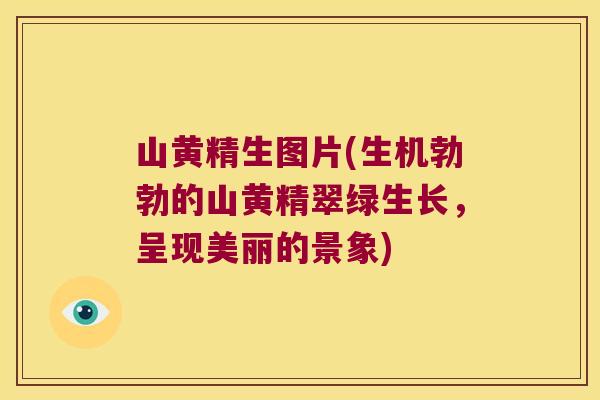 山黄精生图片(生机勃勃的山黄精翠绿生长，呈现美丽的景象)