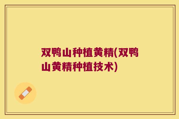 双鸭山种植黄精(双鸭山黄精种植技术) 双鸭山种植黄精(双鸭山黄精种植技术)