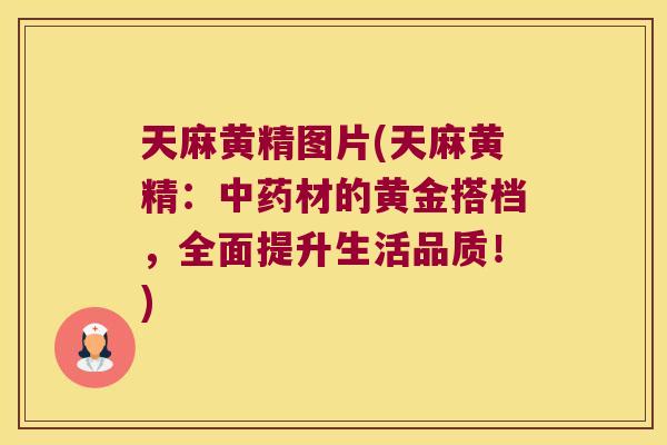 天麻黄精图片(天麻黄精：材的黄金搭档，全面提升生活品质！)