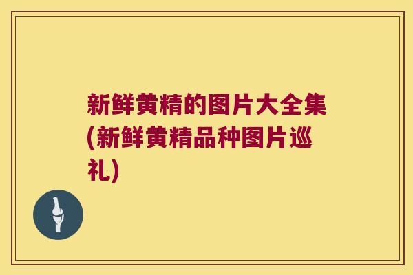 新鲜黄精的图片大全集(新鲜黄精品种图片巡礼)