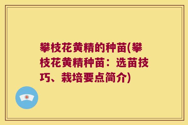 攀枝花黄精的种苗(攀枝花黄精种苗：选苗技巧、栽培要点简介)