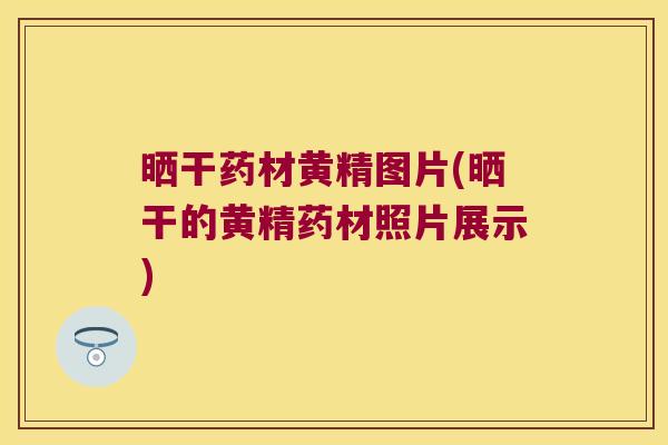 晒干药材黄精图片(晒干的黄精药材照片展示)