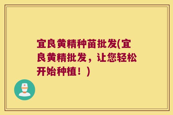 宜良黄精种苗批发(宜良黄精批发,让您轻松开始种植!) 宜良黄精种苗批发(宜良黄精批发,让您轻松开始种植!)