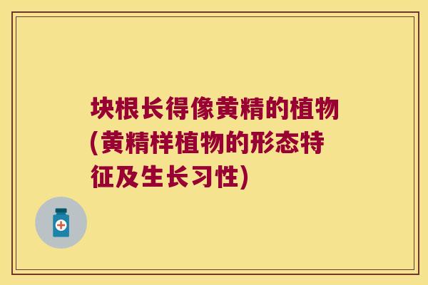 块根长得像黄精的植物(黄精样植物的形态特征及生长习性)