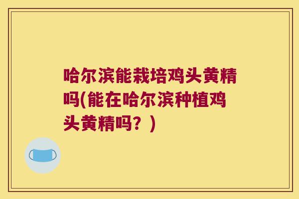 哈尔滨能栽培鸡头黄精吗(能在哈尔滨种植鸡头黄精吗？)
