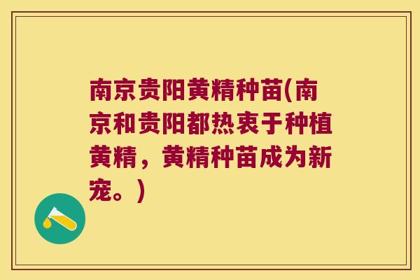 南京贵阳黄精种苗(南京和贵阳都热衷于种植黄精，黄精种苗成为新宠。)