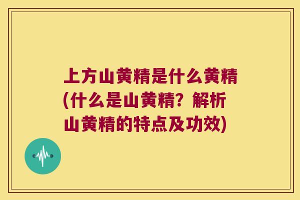 上方山黄精是什么黄精(什么是山黄精?解析山黄精的特点及功效) 上方山黄精是什么黄精(什么是山黄精?解析山黄精的特点及功效)