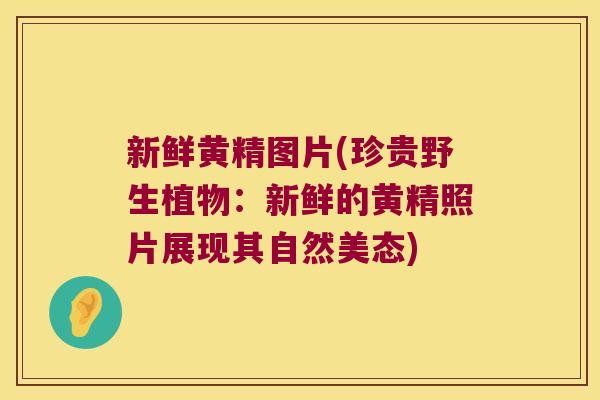 新鲜黄精图片(珍贵野生植物：新鲜的黄精照片展现其自然美态)