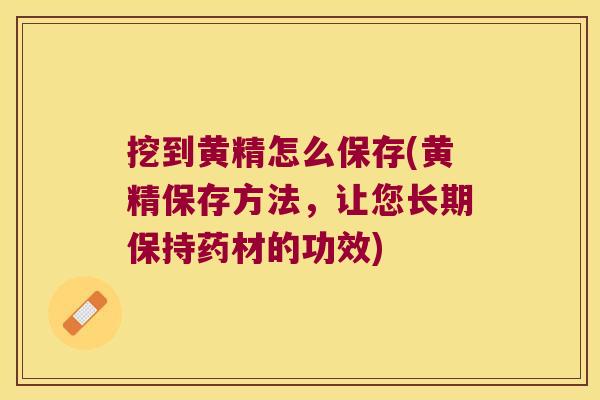 挖到黄精怎么保存(黄精保存方法,让您长期保持药材的功效) 挖到黄精怎么保存(黄精保存方法,让您长期保持药材的功效)