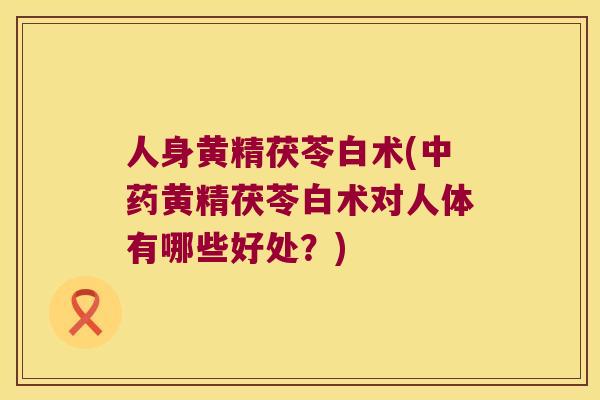 人身黄精茯苓白术(黄精茯苓白术对人体有哪些好处？)